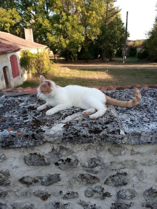 As Seen On A New Life In The Sun - Beautiful 3 Bedroom Cottage With Shared Pool Montboyer Dış mekan fotoğraf